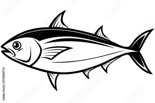 vector illustration of a fish