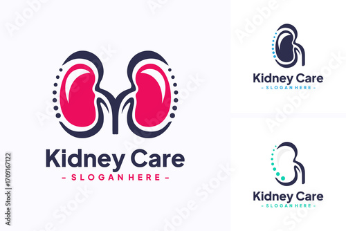 Set of kidney logo vector. Urology logo design template. Icon stock vector isolated