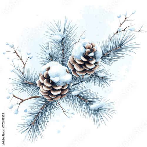 Frosty Pine Branch with Pinecones in Winter Wonderland , vector style simple color