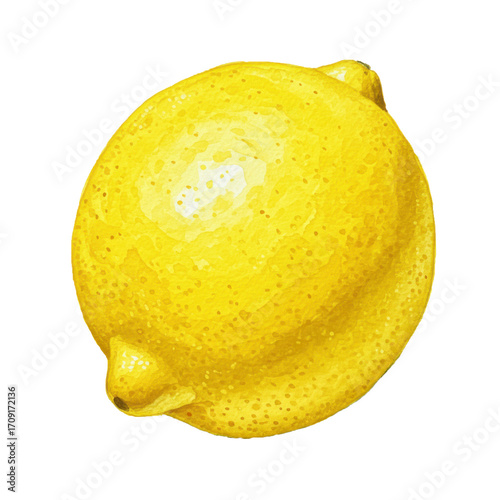 Fresh lemon, isolated on transparent background, watercolor yellow hand-painted citrus fruit