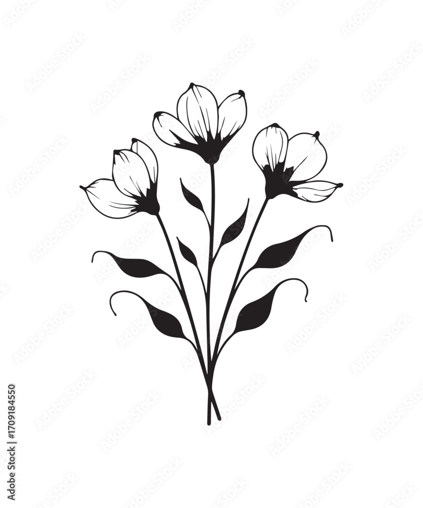 vector illustration of a flower vector illustration of a flower
