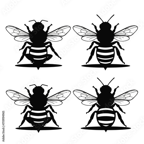 Four black and white illustrations of bees with detailed wings and striped bodies.