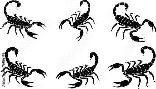 Scorpion silhouettes, insect icons, venomous arachnid poses, stinger tail graphics, black vector set, editable illustration pack, wildlife creature shapes