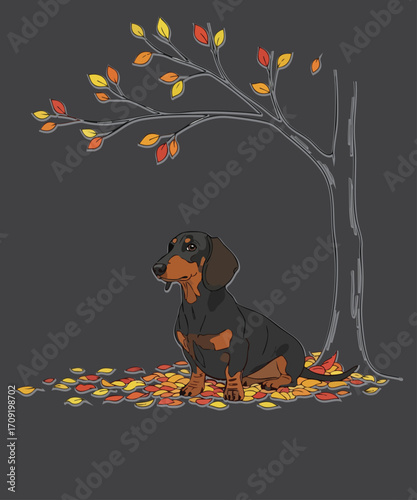 Autumn Pumpkin Fall Dachshund Thanksgiving T-Shirt, dachshund, dog, autumn, fall, tree, leaves, seasonal, cozy, pet, animal, cute, illustration, dog lover, pet owner, fall season, nature