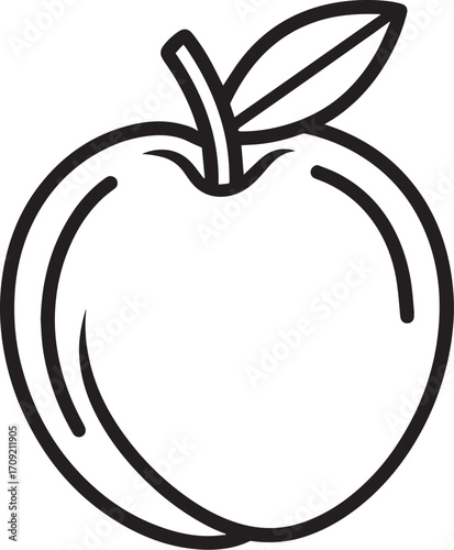 Apricot fruit icon clean simple linear