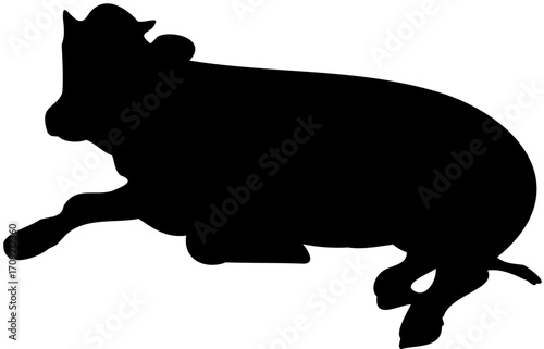 Calf silhouette lying down side view, young cow baby farm animal resting, livestock vector illustration, black outline bovine design, simple rural agriculture graphic art