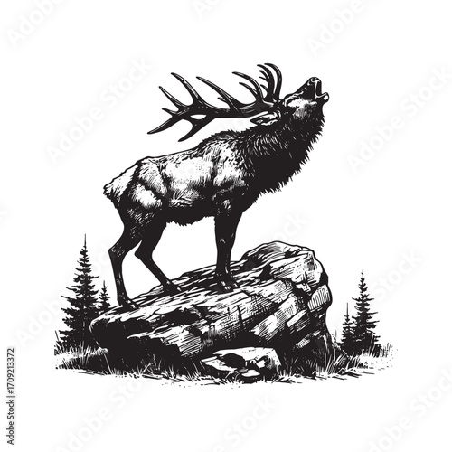Vector art of elk standing on a rock with antlers and trees in the background