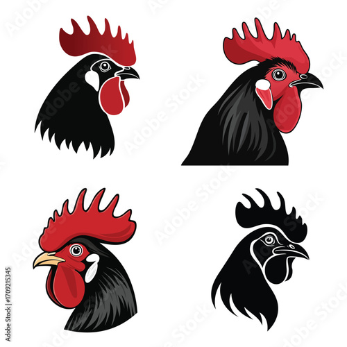Set of four rooster head mascots for farm or poultry branding, a detailed vector silhouette illustration collection for logo design.