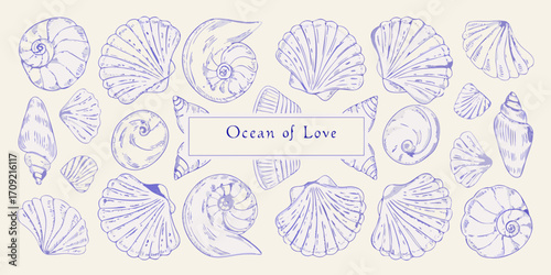 Hand drawn illustration of various seashells and nautilus shells arranged around the text ocean of love
