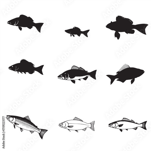 set of silhouettes of fish