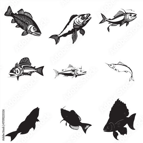 set of funny cartoon fish