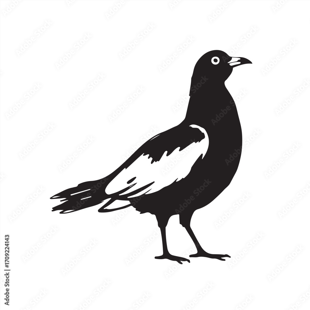 Fototapeta premium Timeless and elegant, a hand-drawn sketch of a classic black and white vector style silhouette bird on a white background, rendered in a color sketchnote style.