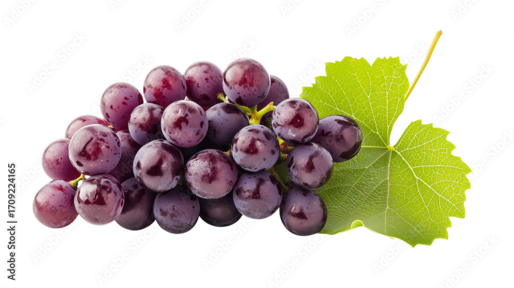 Fototapeta premium Freshly harvested cluster of dark purple grapes with a vibrant green grape leaf against background