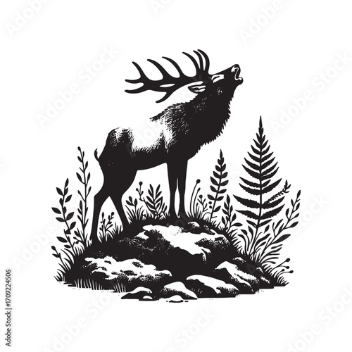 Vector art of black and white illustration of a stag roaring on a rocky hill with ferns