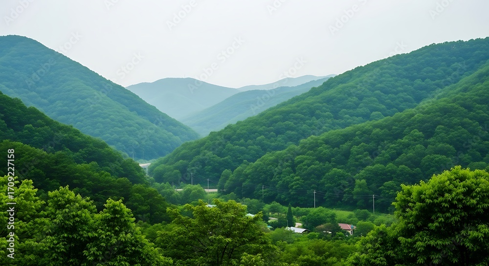 Fototapeta premium Lush green mountains and valleys stretch out, showcasing a tranquil landscape of dense forests.