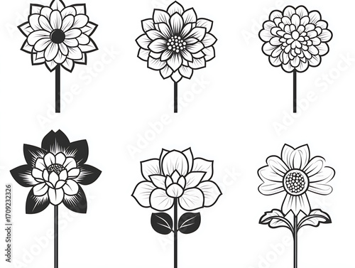 Compilation of Six Black-White Floral Illustrations (2 Rows x 3 Columns): Styled Petals, Straight Stems (Line Art Aesthetic)