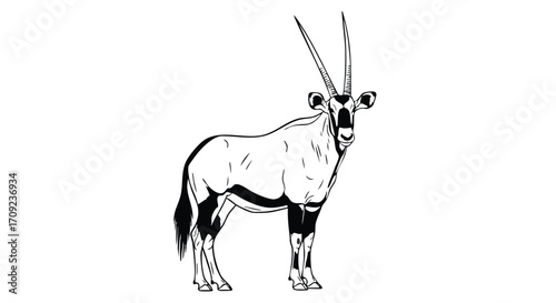 Majestic Oryx standing tall with striking long horns against a clean white background