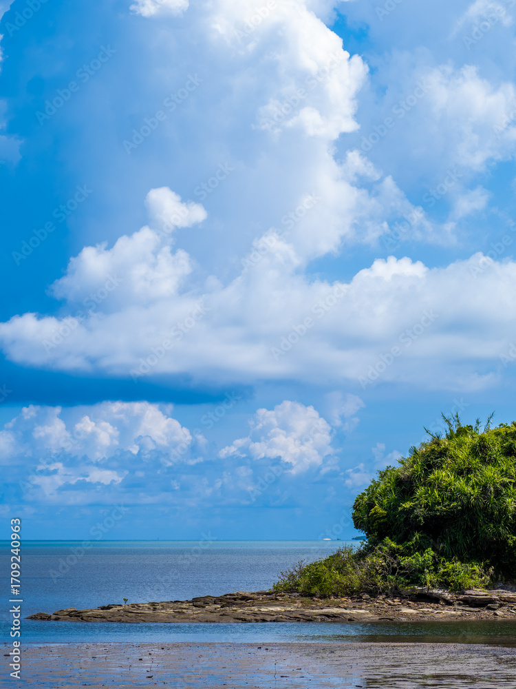 Fototapeta premium 西表島