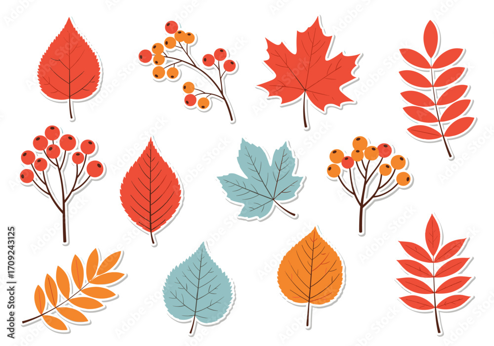 Obraz premium Collection of colorful autumn leaves and berry branches for seasonal decoration.
