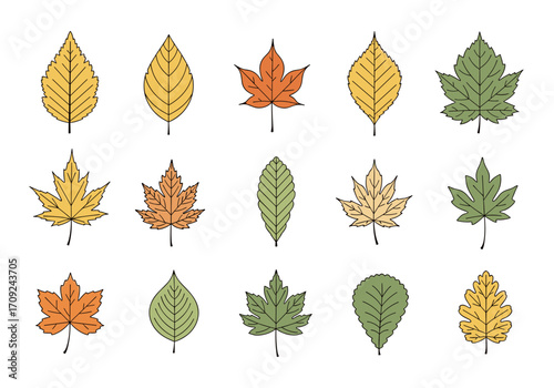 A collection of hand drawn autumn leaves in various shapes and colors for seasonal decorations and designs.