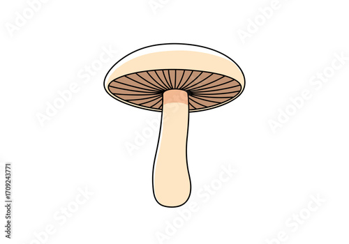 A simple illustration of a white button mushroom with its cap and stem clearly visible.