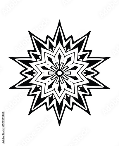 Abstract black and white radial starburst design creating symmetrical pattern appearance
