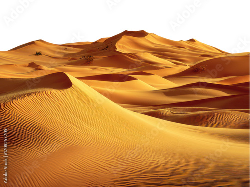 Golden desert dunes under black sky sand orange, Isolated, Png Transparent Background