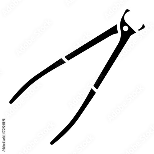 Dental Extraction Forceps: Surgical Tool for Tooth Removal