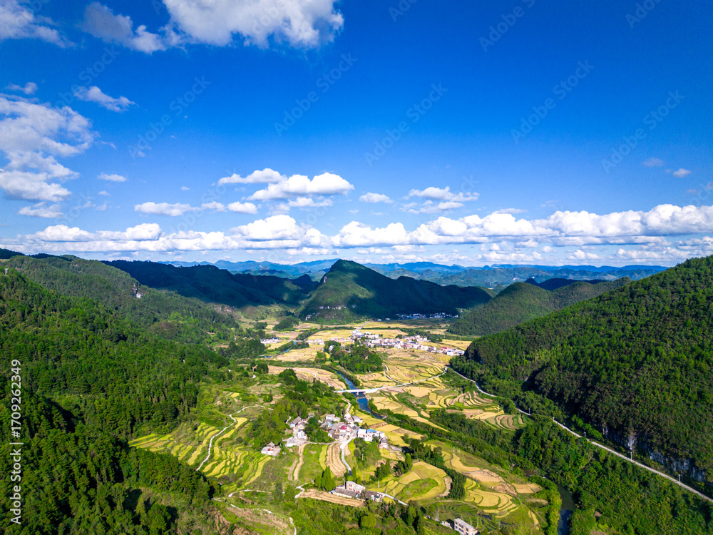 Fototapeta premium rice terraces in china