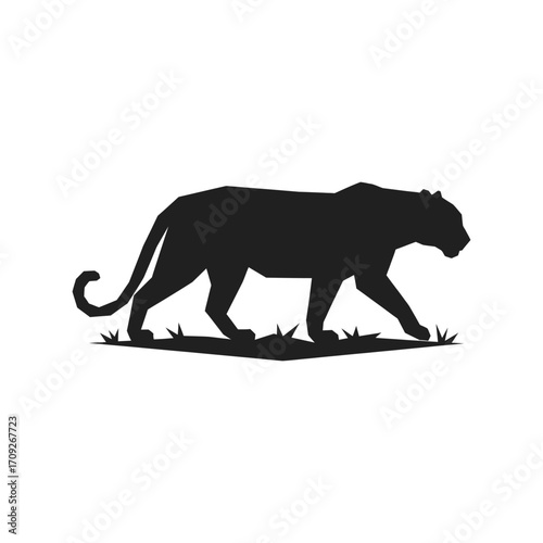 Silhouette panther walking gracefully through grass wild animal nature jungle predator power strength vector