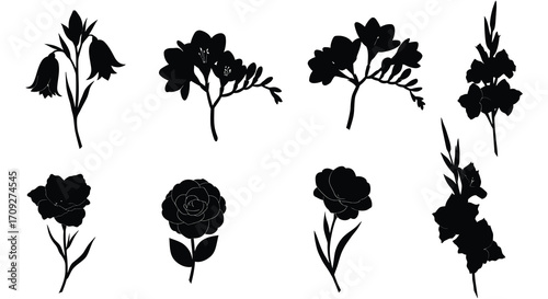Collection of elegant black floral silhouettes against a pristine white background