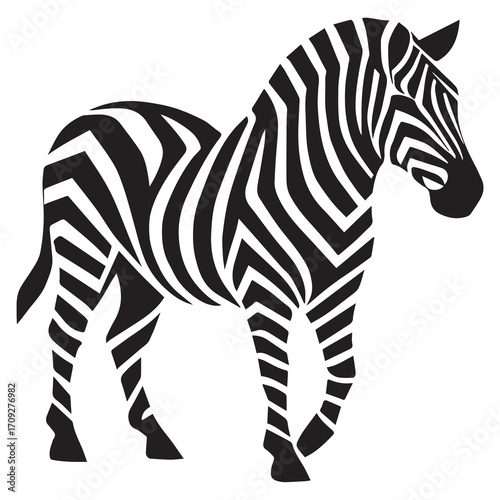 zebra vector illustration