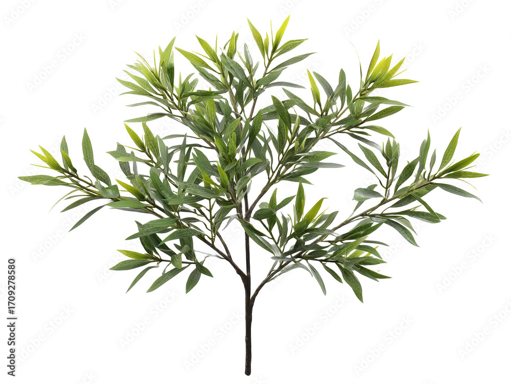 Fototapeta premium Flourishing small tree with lush green leaves in a vibrant natural setting