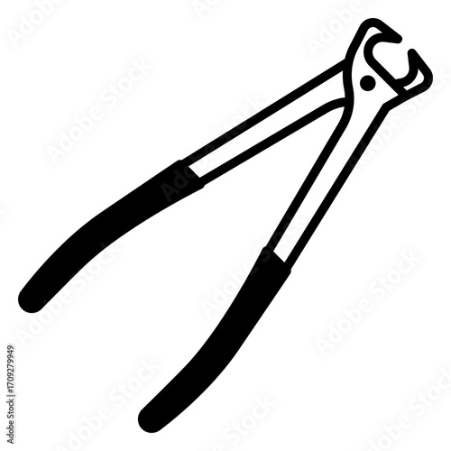 Nail Puller Tool Isolated on White Background