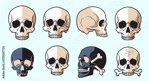 A collection of stylized human skulls in different views and color variations, including one with crossbones, presented as graphic resources.