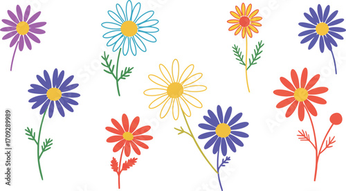 Colorful daisy flower collection with various hues on transparent background