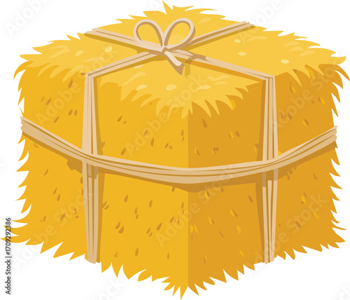 A tied bale of golden hay, a square agricultural product.