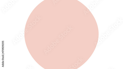 Minimalist pale pink oval shape on a white background, providing a soft abstract graphic element for design and branding.