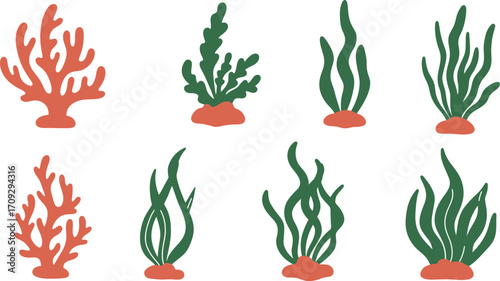 Collection of vibrant coral and seaweed illustrations on transparent background