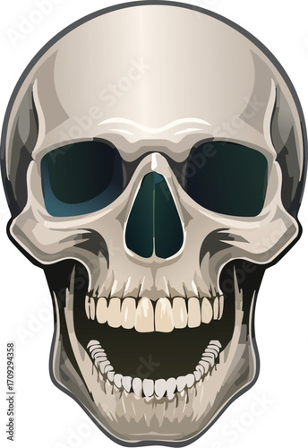 A detailed illustration of a human skull, grinning widely, rendered in realistic style with subtle shading and highlights.