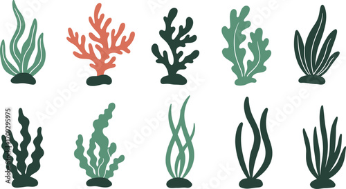 Collection of vibrant coral and seaweed illustrations on transparent background