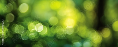 Abstract bokeh of foliage. Green and yellow spheres of light overlay an indistinct dark background