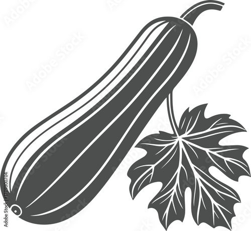 Zucchini Vegetable Illustration
