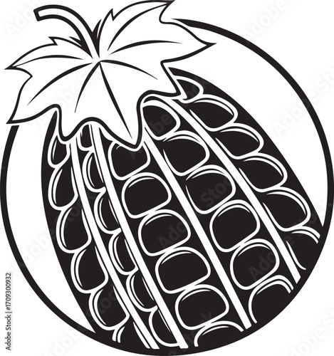 Fruit Illustration