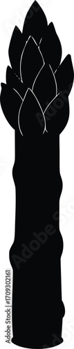  asparagus stalk silhouette vector