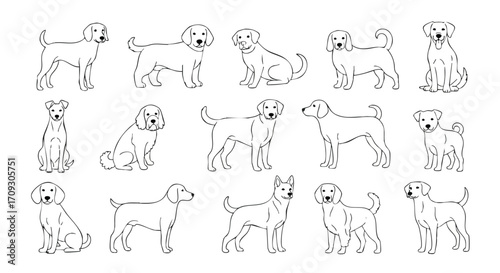 Charming collection of diverse dog breeds illustrated in clean, modern line art for versatile design use