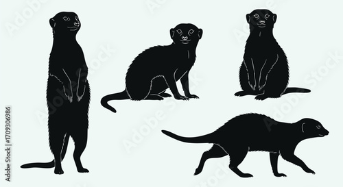 Curious meerkats in various poses capture attention for wildlife, nature, or safari themes