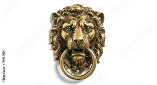 Elegant brass lion head door knocker, regal statement