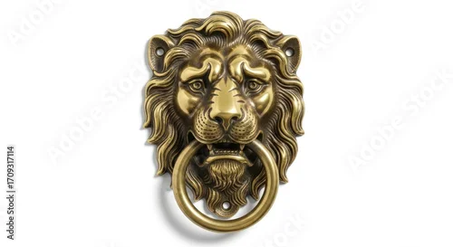 Fototapeta samoprzylepna Elegant brass lion head door knocker, regal statement