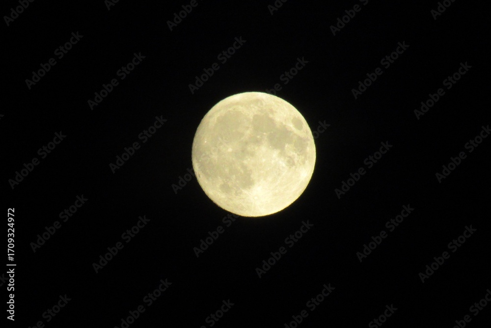 Fototapeta premium księżyc, makro, noc